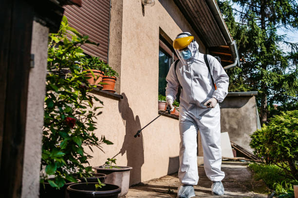 Best Pest Control for Homes  in Mansfield Center, CT