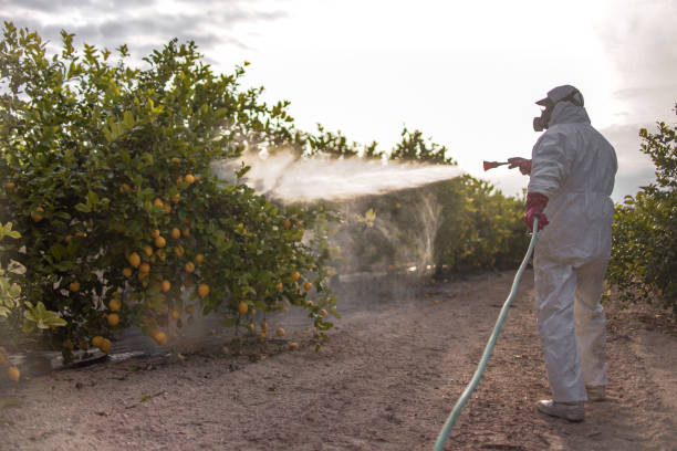 Reliable Mansfield Center, CT Pest Control Solutions