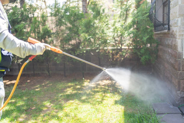 Best Cockroach Control Services  in Mansfield Center, CT