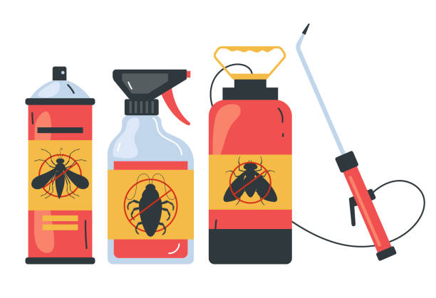 Wasp Removal Services in Mansfield Center, CT