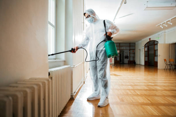 Best Termite Control Services  in Mansfield Center, CT